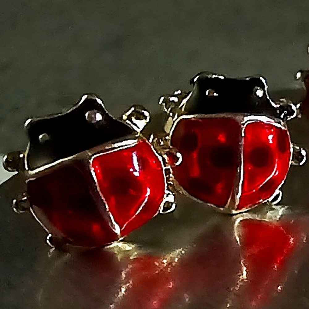 Sensitive Solutions Red Ladybug Stud Earrings